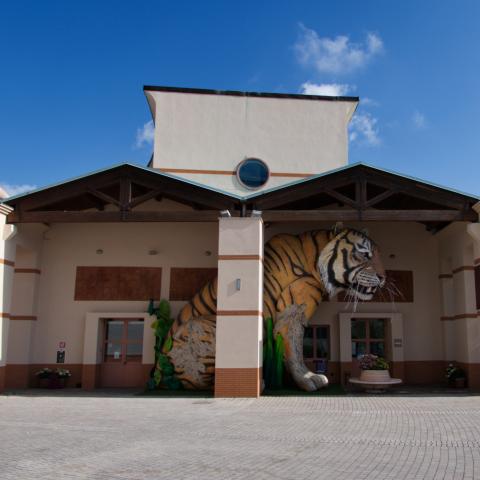 Museo del Carnevale